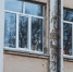 Фото Тимура Бойкова/Вологда-Поиск - Вологда-поиск