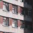 Фото Тимура Бойкова/Вологда-Поиск - Вологда-поиск