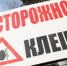Стремительно растет число пострадавших от клещей на Вологодчине - Wobla.Ru
