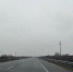 background - Вологда-поиск