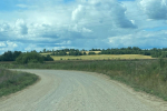 Народная программа в действии