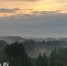 14 июня Вологодскую область накроют грозы и шквалистый ветер - ProGorod35.Ru