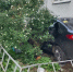 В Вологде пожилая женщина погибла под колёсами автомобиля - ProGorod35.Ru
