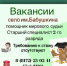 Приглашаем на работу - Департамент по обеспечению деятельности мировых судей