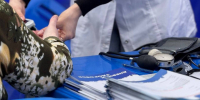 В Вологодской области катастрофически не хватает врачей: новые данные о зарплатах и вакансиях - ProGorod35.Ru