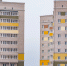 background - Вологда-поиск