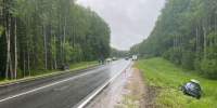background - Вологда-поиск