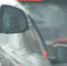 Фото Тимура Бойкова/Вологда-Поиск - Вологда-поиск