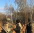 Вологда-поиск - Вологда-поиск