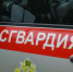 19 правонарушений пресекли на территории Вологодской области сотрудники вневедомственной охраны Росгвардии за минувшую неделю - Росгвардия