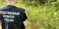 Подростка подозревают в жестоком убийстве - Gorodvo.Ru
