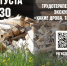 Фото_1 - Архитектурно-этнографический музей