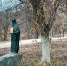 background - Вологда-поиск