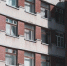 Фото Тимура Бойкова/Вологда-Поиск - Вологда-поиск