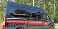 В Череповце возбуждено дело после гибели троих подростков в квартире - OnlineVologda.Ru