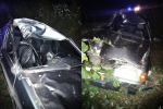 Двое несовершеннолетних пострадали в ДТП с лосем