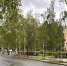 В Вологодской области ожидаются туманы и прохладная погода - ProGorod35.Ru