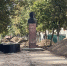 background - Вологда-поиск