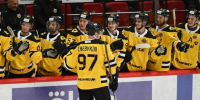 Фото: https://vk.com/hcseverstal - Вологда-поиск