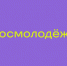 ​Более 700 тысяч рублей привлекли вологжане в регион по итогам конкурса микрогрантов от Росмолодежи - Правительство Вологодской области