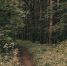background - Вологда-поиск