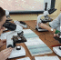 Профильные медицинские классы появятся в школах Вологды - Региональное Агентство Новостей
