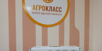 background - Вологда-поиск
