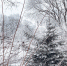 background - Вологда-поиск
