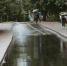Фото Тимура Бойкова/Вологда-Поиск - Вологда-поиск