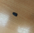 image-03-09-25-10-32 - УМВД Вологодской области