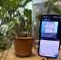 Соцсети и маркетплейсы заработают для волгоградцев при отключении интернета - Комсомольская правда