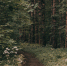 background - Вологда-поиск