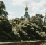 Фото Тимура Бойкова/Вологда-Поиск - Вологда-поиск