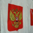 Завершились дополнительные выборы в городскую Думы. Избирателям предстояло проголосовать за депутатов по трём округам. - Газета Маяк
