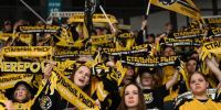 Фото: https://vk.com/hcseverstal - Вологда-поиск