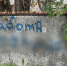 JPG Файл - УМВД Вологодской области