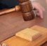 Суд арестовал имущество Елены Блиновской в Вологодской области - ProGorod35.Ru