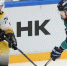Фото: https://vk.com/hcseverstal - Вологда-поиск