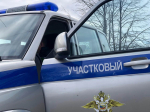 В Никольском округе полицейские нашли девочку, заблудившуюся в лесу