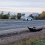 В районе Вологды на трассе М-8 в лобовом столкновении пострадали два человека - ProGorod35.Ru