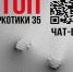 На Вологодчине стартовала акция «Сообщи, где торгуют смертью!» - Правительство Вологодской области