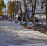 background - Вологда-поиск