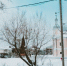 Фото Тимура Бойкова/Вологда-Поиск - Вологда-поиск