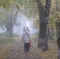 портал - Вологда-поиск