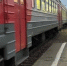 Фото: «Вологда-поиск» - Вологда-поиск