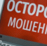 Фото: «Вологда-поиск» - Вологда-поиск
