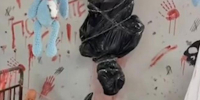 Принтскрин с видео - Вологда-поиск