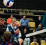 Фото: https://vk.com/chervolley - Вологда-поиск