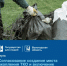 Услуга по согласованию мест накопления ТКО на Вологодчине переведена в электронный формат - Минцифры Вологодской области