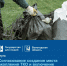 Вологодские компании и жители теперь согласуют контейнерные площадки для мусора онлайн - OnlineVologda.Ru